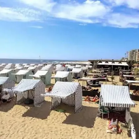 Daire Matriz Pvz Póvoa de Varzim