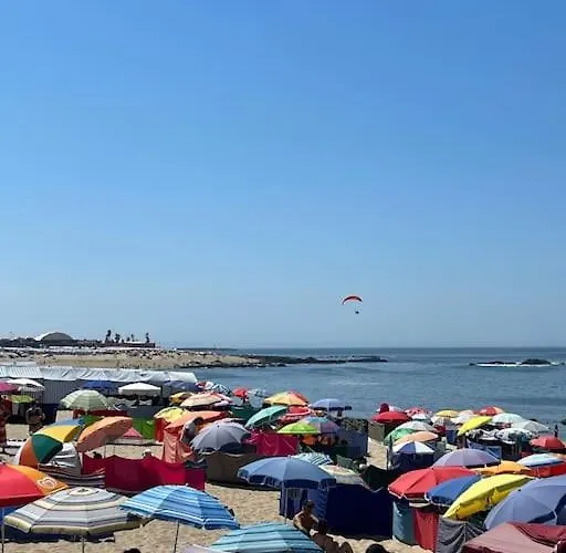 Matriz Pvz Póvoa de Varzim